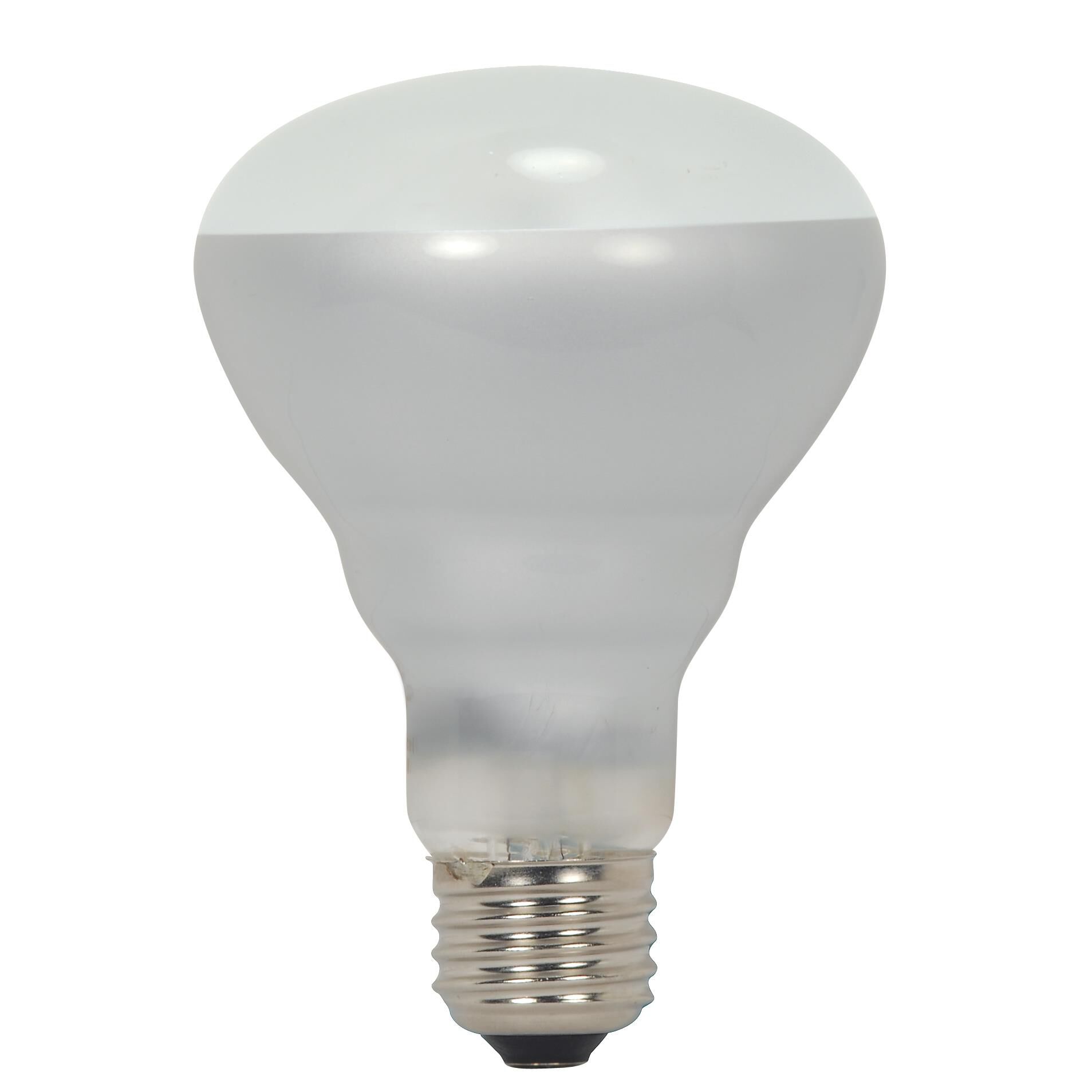 Incandescent Light Bulb,