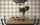 Plaid Rustic Industrial Dining Room Wallpaper, Furniture & Lighting