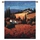 Tuscan Poppies Wall Hanging Tapestry