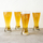 Bellagram - Personalized Barware Beer Glasses