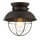 Click for River Station Rubbed Bronze Industrial Lantern Flush Mount By 251 First