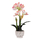 Find decorative and beautiful artificial flowers & plants at Bellacor