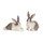 Complete Easter Decoration with Best Deals on Home Furnishing & Lighting Items