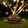 Shop Black Outdoor String Light Kit with Edison Bulbs By Bulbrite