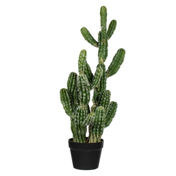 Green 31-Inch Potted Cactus, image 1