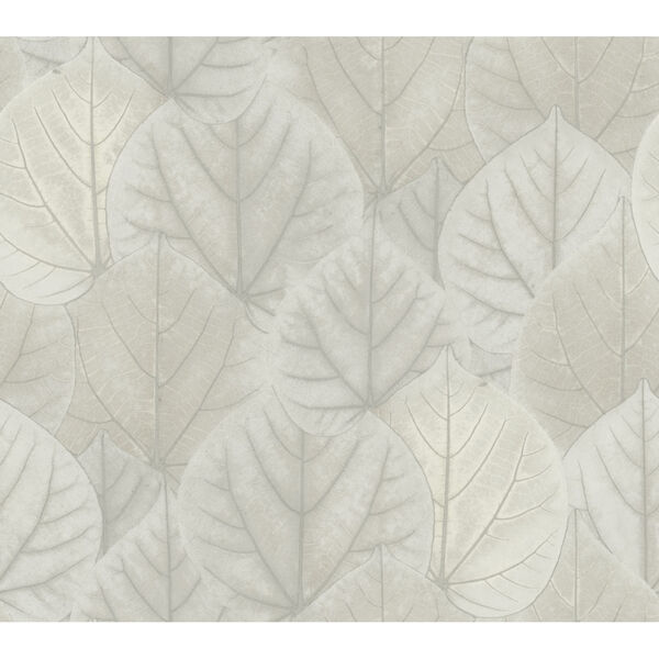 Candice Olson Modern Nature 2nd Edition Gray Leaf Concerto Wallpaper, image 2