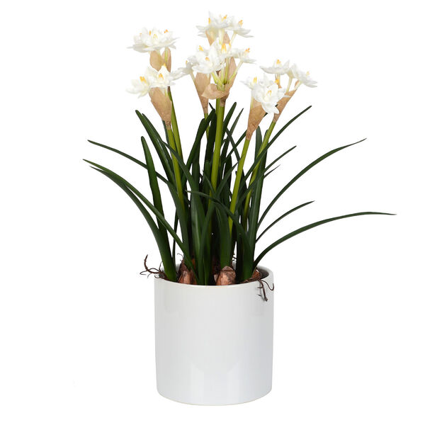 Green Daffodil with Ceramic Pot, image 1