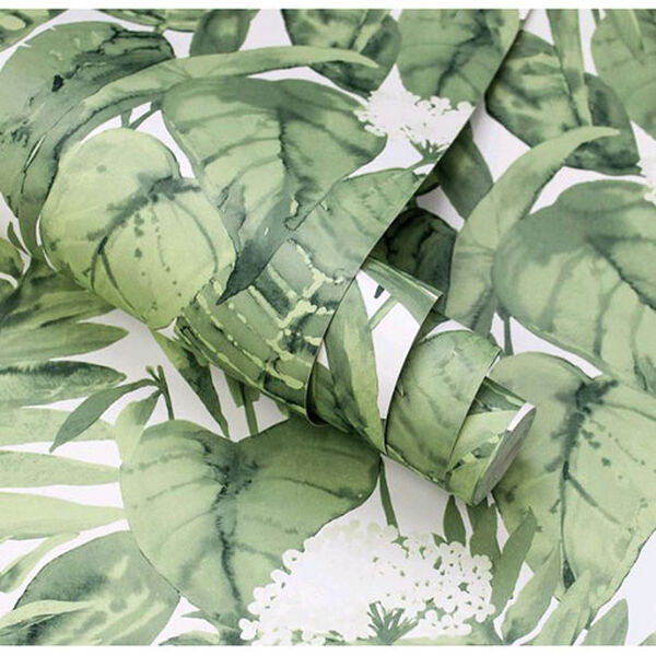 Tropical Jungle Green Removable Wallpaper, image 4