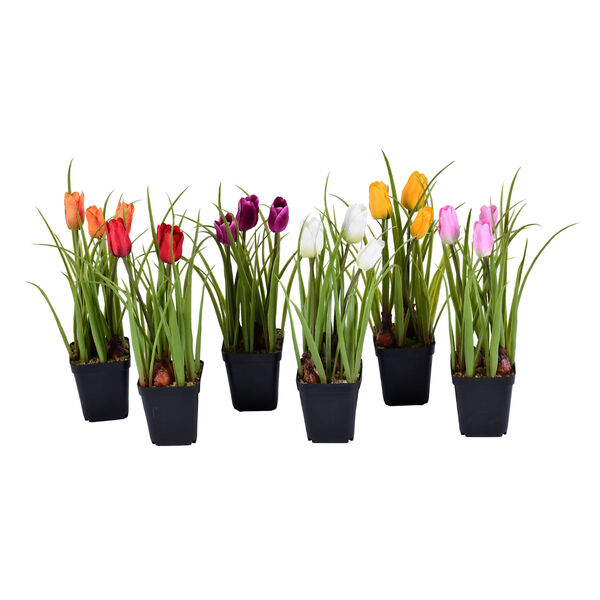 Multicolor Assorted Tulip with Black Pot, 6-Piece, image 1
