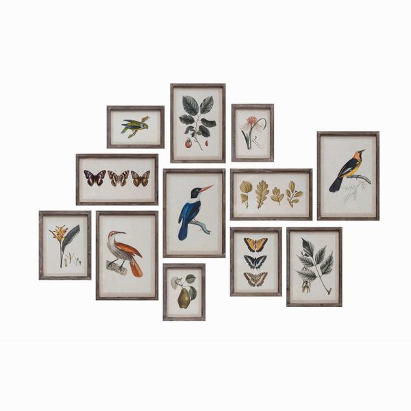 Multicolor 12 x 18-Inch Insects, Birds, Plants and Fruit Wall Decor, Set of 12, image 1