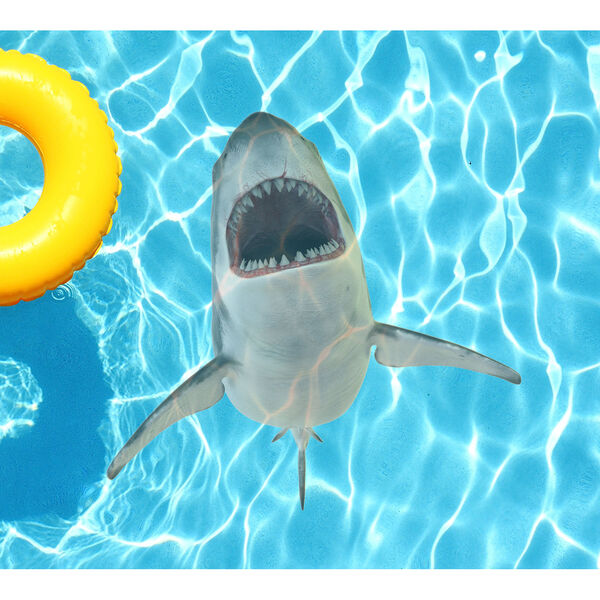 Grey Shark Teeth Underwater Pool Tattoo, image 1