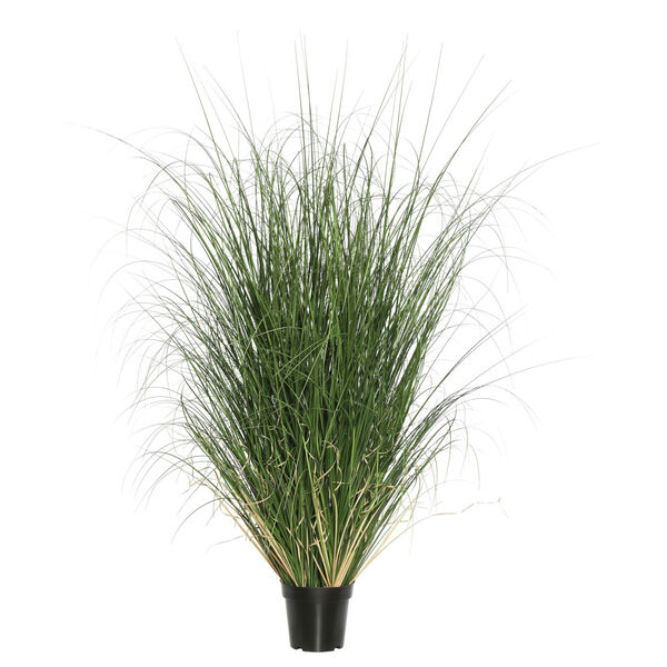 Green 60-Inch Curled Grass in Pot, image 1