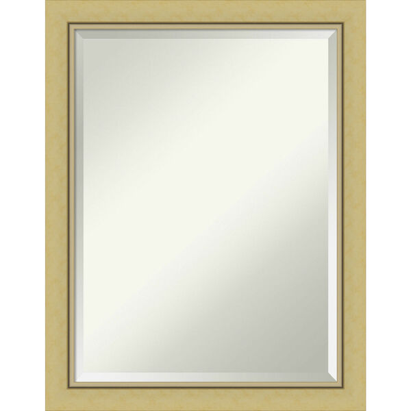 Landon Gold 21W X 27H-Inch Bathroom Vanity Wall Mirror, image 1