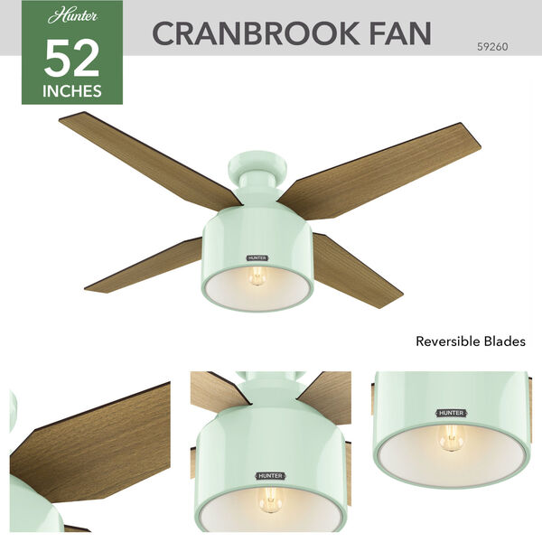 Cranbrook Mint 52-Inch One-Light LED Ceiling Fan, image 4