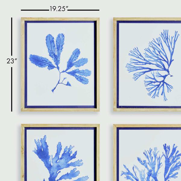 Blue White Indigo Seaweed Prints Wall Art, Set of Four, image 4