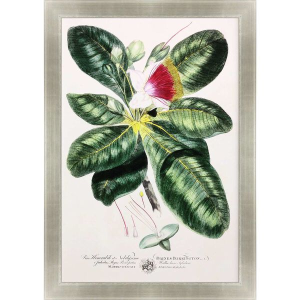 Green Imperial Tropical I Wall Art, image 2