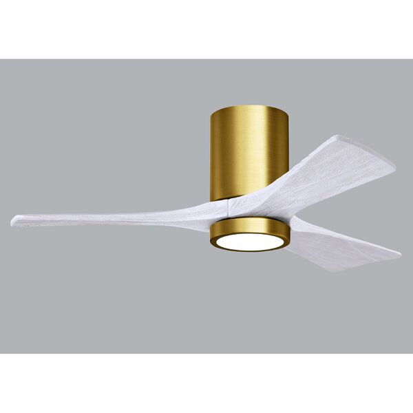 Irene-3HLK Brushed Brass 42-Inch Ceiling Fan with LED Light Kit and Matte White Blades, image 3