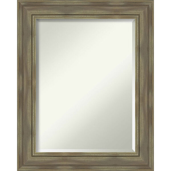 Alexandria Graywash 24-Inch Bathroom Wall Mirror, image 1