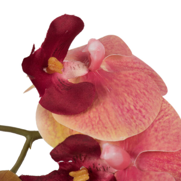 Pink and Orange Orchid Arrangement, image 2