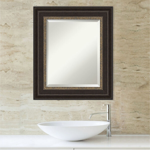 Paragon Bronze 23W X 27H-Inch Bathroom Vanity Wall Mirror, image 5