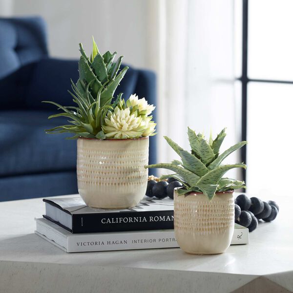 Neutral Tan Seaside Succulents, Set Of Two, image 2