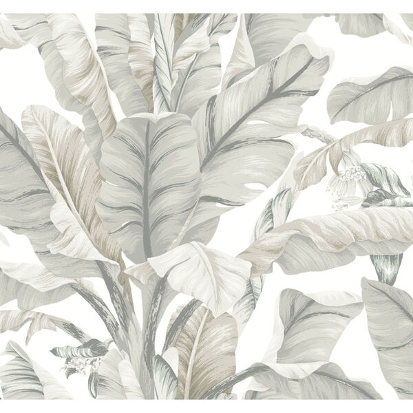 White and Cream 27 In. x 27 Ft. Banana Leaf Wallpaper, image 2