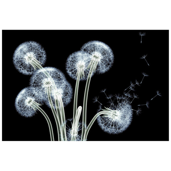 Dancing Dandelions Frameless Free Floating Tempered Glass Graphic Wall Art, image 2