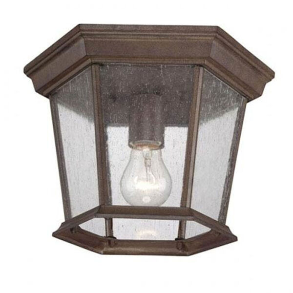 Dover Burled Walnut One-Light Outdoor Ceiling Mount with Clear Seeded Glass, image 1