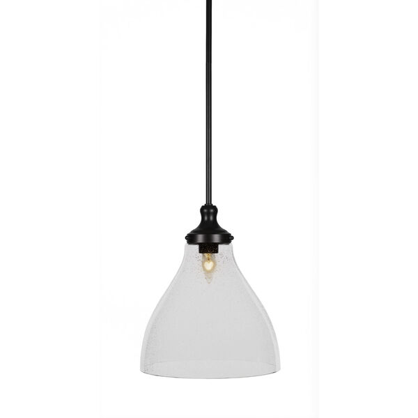 Juno Matte Black One-Light 14-Inch Stem Hung Pendant with Clear Bubble Glass, image 1