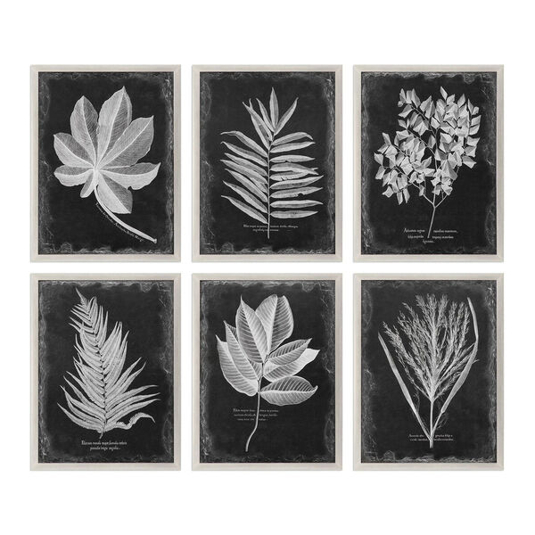 Foliage Framed Prints, Set of Six, image 2