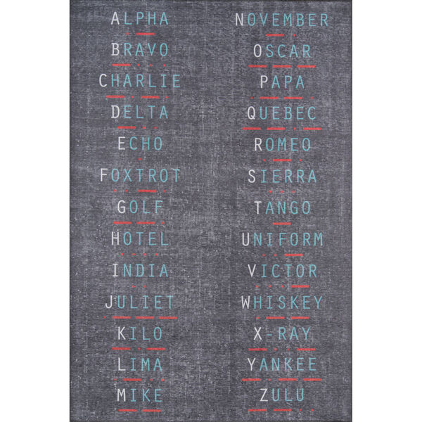 District Charcoal Rectangular: 3 Ft. 3 In. x 5 Ft. Rug, image 1