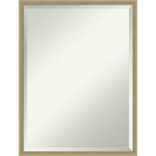 Lucie Champagne 19W X 25H-Inch Bathroom Vanity Wall Mirror, image 1