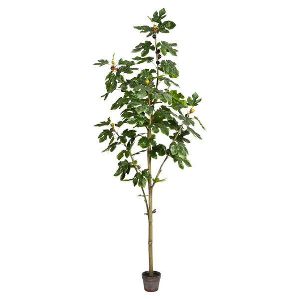 Green 7-Feet Potted Fig Tree with 86 Leaves, image 1