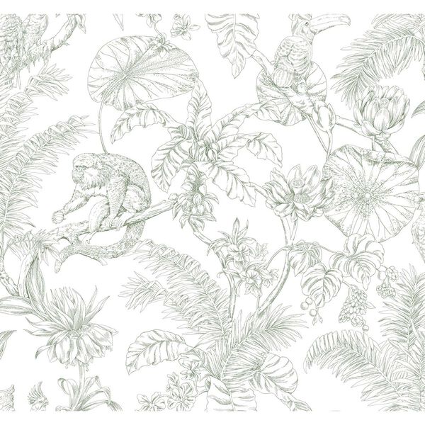 Tropical Sketch Toile Forest Wallpaper, image 2