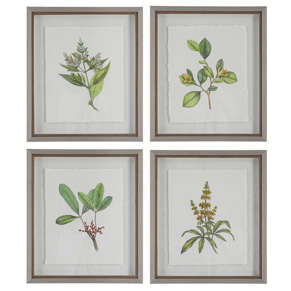 Wildflower Study Light Gray Framed Prints, Set of 4, image 2