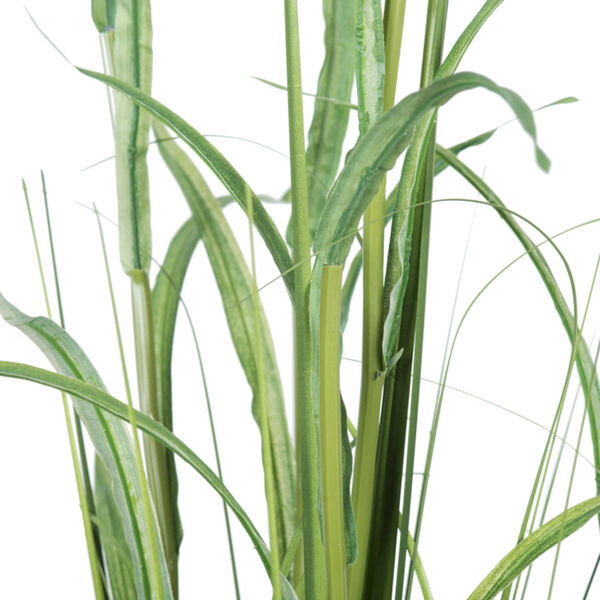 Green Potted Bamboo Grass, image 2