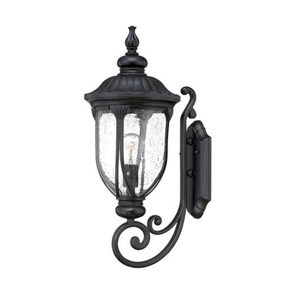 Laurens Matte Black 9-Inch One-Light Outdoor Wall Mount with Clear Seeded Glass, image 1