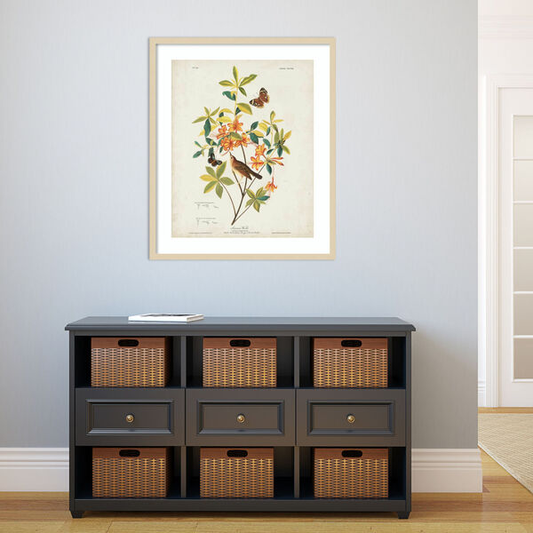 John James Audubon Brown Swainsons Warbler 28 x 33 Inch Wall Art, image 1
