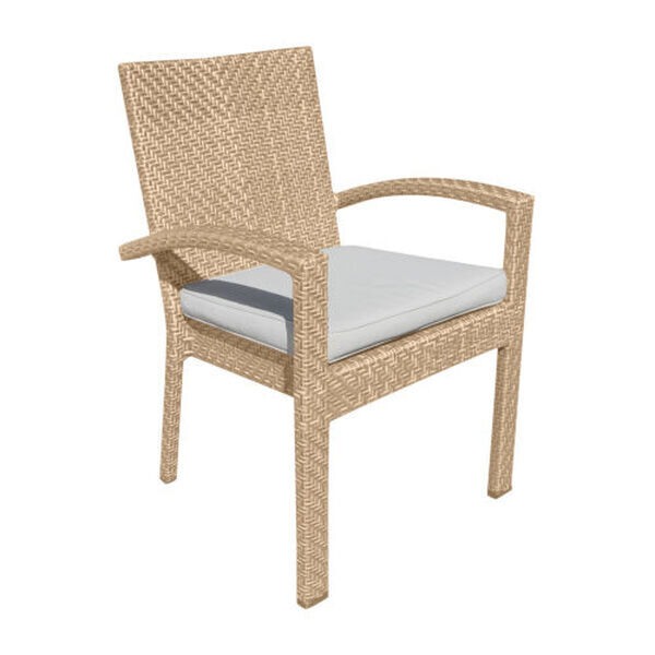 Austin Antique Beige Outdoor Dining  ArmChair with Cushion, Set of 2, image 1