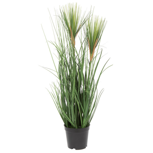Green Brushed Grass with Black Pot, image 1