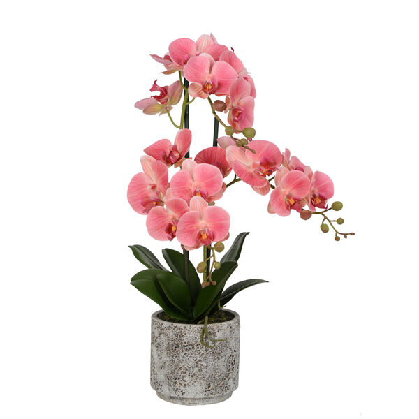 Pink Real Touch Phalaenopsis in Cement Pot, image 1