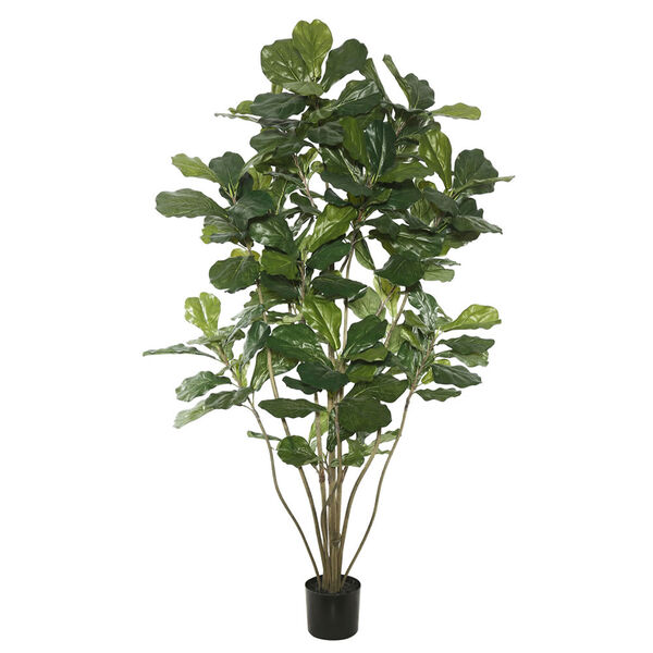 5 Ft. Potted Fiddle Tree, image 1