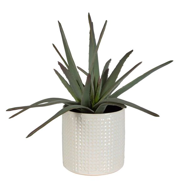 Taos Ivory Beige Aloe Centerpiece In Pot, image 1