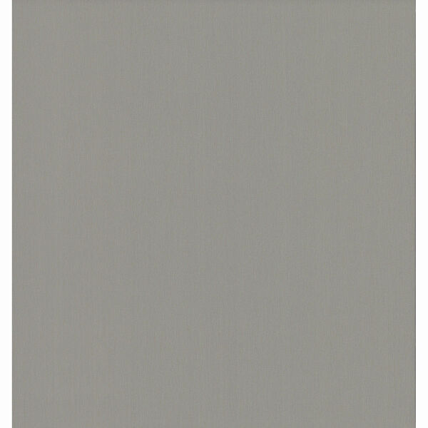 Radiant Juniper Dark Gray Textures Non-Pasted Wallpaper, image 2