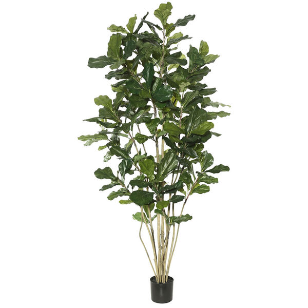 7 Ft. Potted Fiddle Tree, image 1