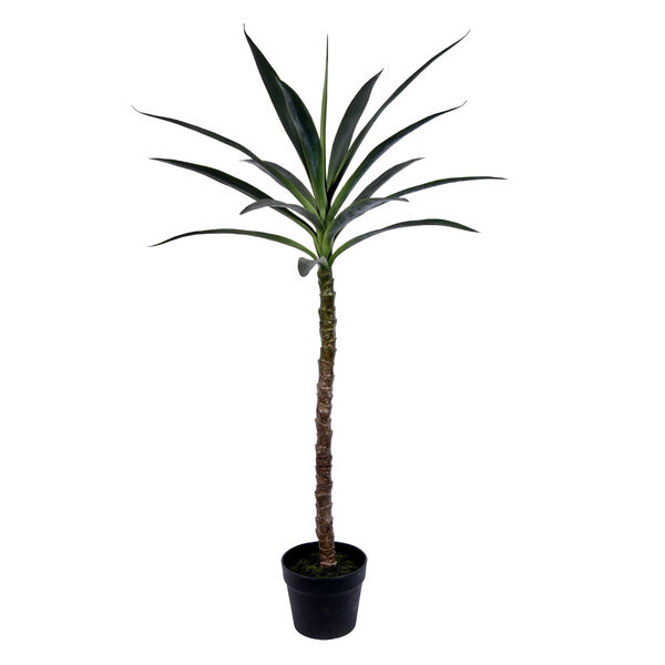 Green 44-Inch Yucca Tree with Black Pot, image 1