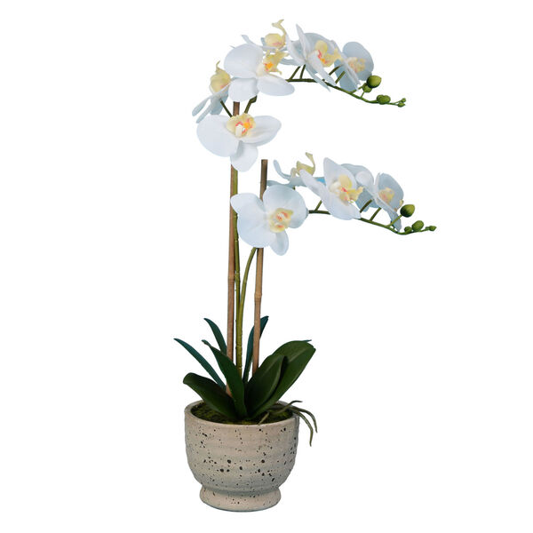White Real Touch Phalaenopsis in Cement Pot, image 1