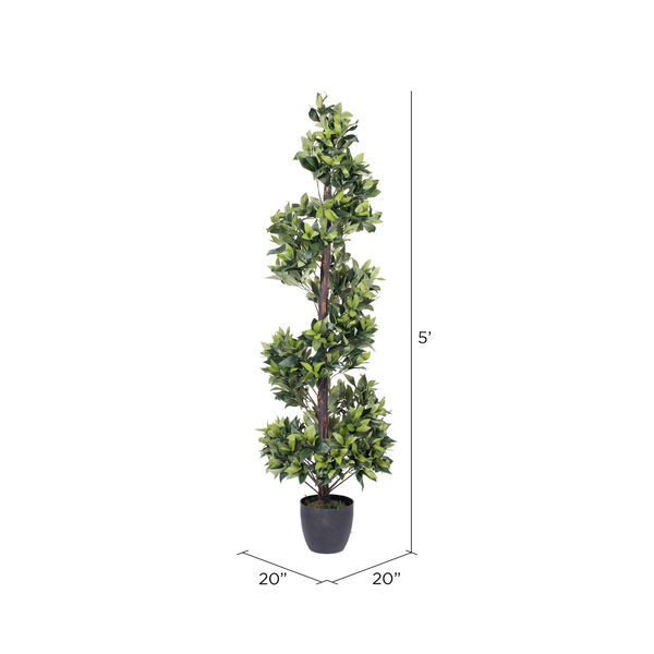 Green Spiral Bay Tree with Black Pot, image 2