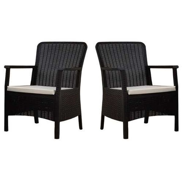 Orlando Anthracite Outdoor Armchairs with Cushion, Set of Two, image 1