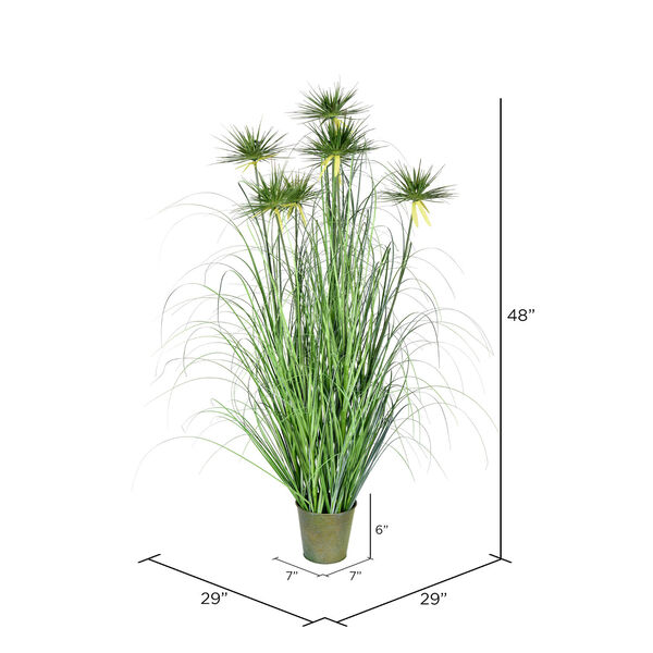 Green 48-Inch Cyperus Grass with Iron Pot, image 2